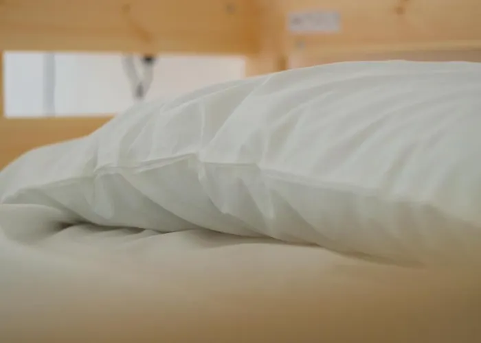 Clorofilla - 招待所