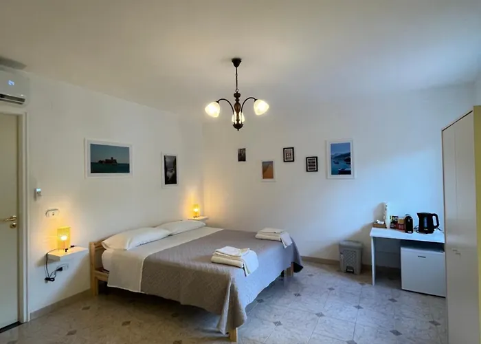 Clorofilla - 招待所